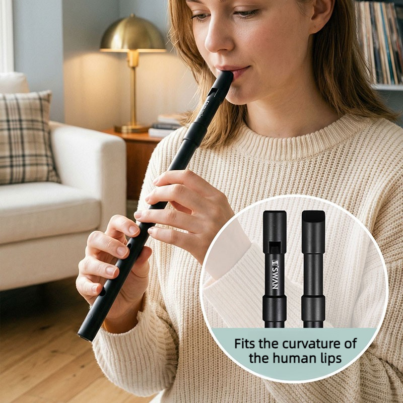 Penny Whistle D - Sifflet en étain C/D pour débutant,