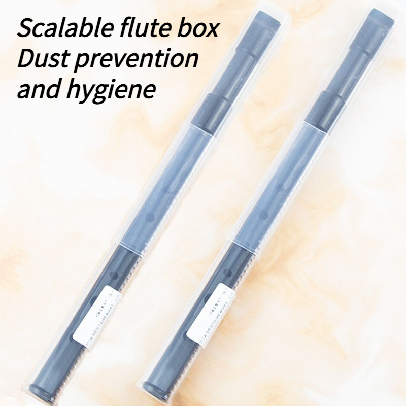 Sifflet en étain en résine à 6 - Tin Whistle Flute avis et prix