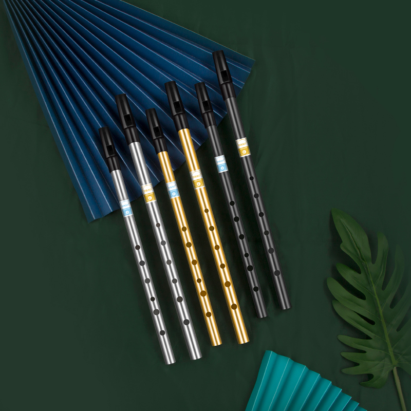 Flûte à sifflet irlandais pour - Tin Whistle Flute avis et prix