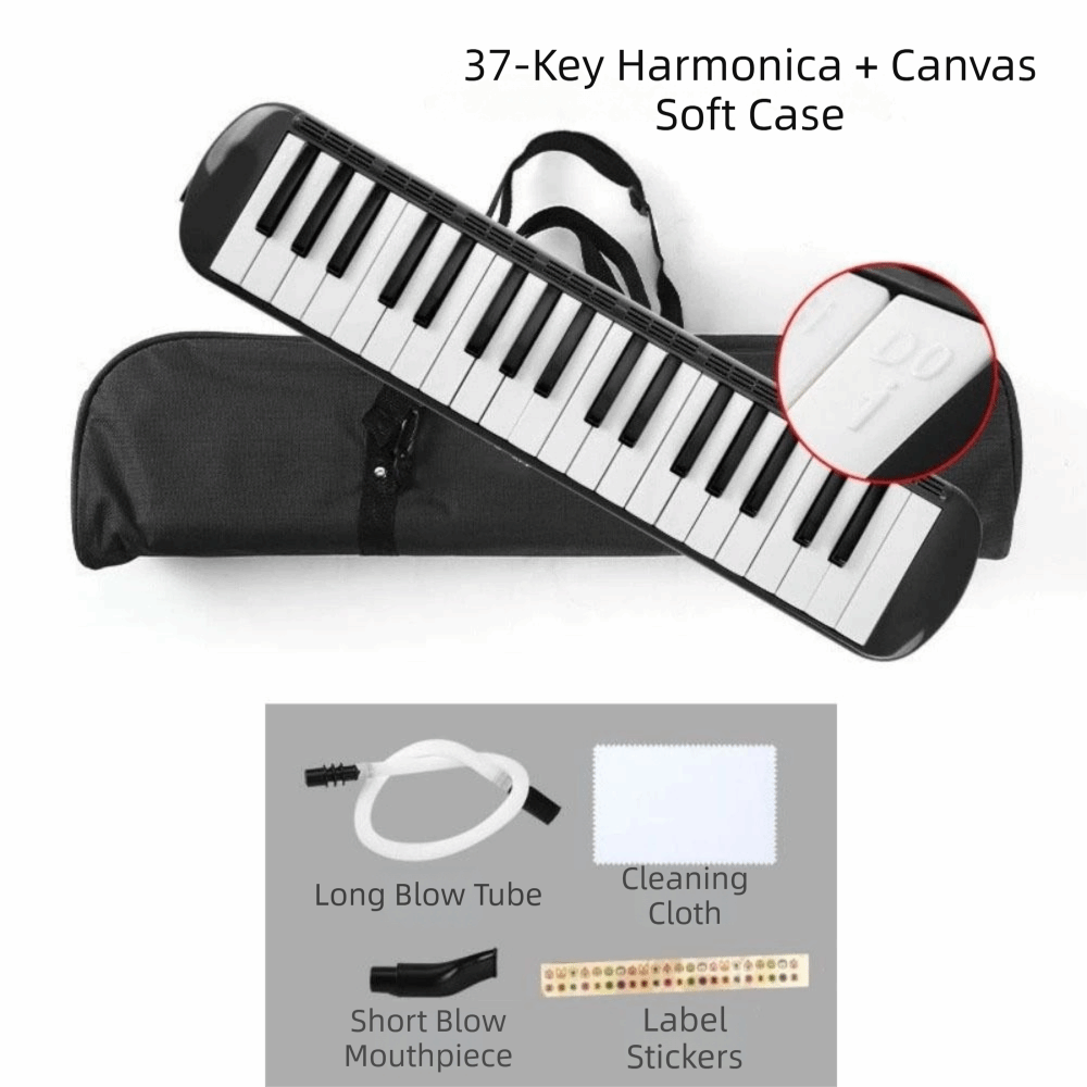 Melodica 37 touches, instrumen - Musical Instrument Melodica avis et prix