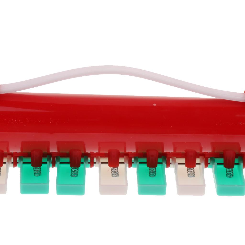 13 clés, mélodica, instrument  - Musical Instrument Melodica avis et prix
