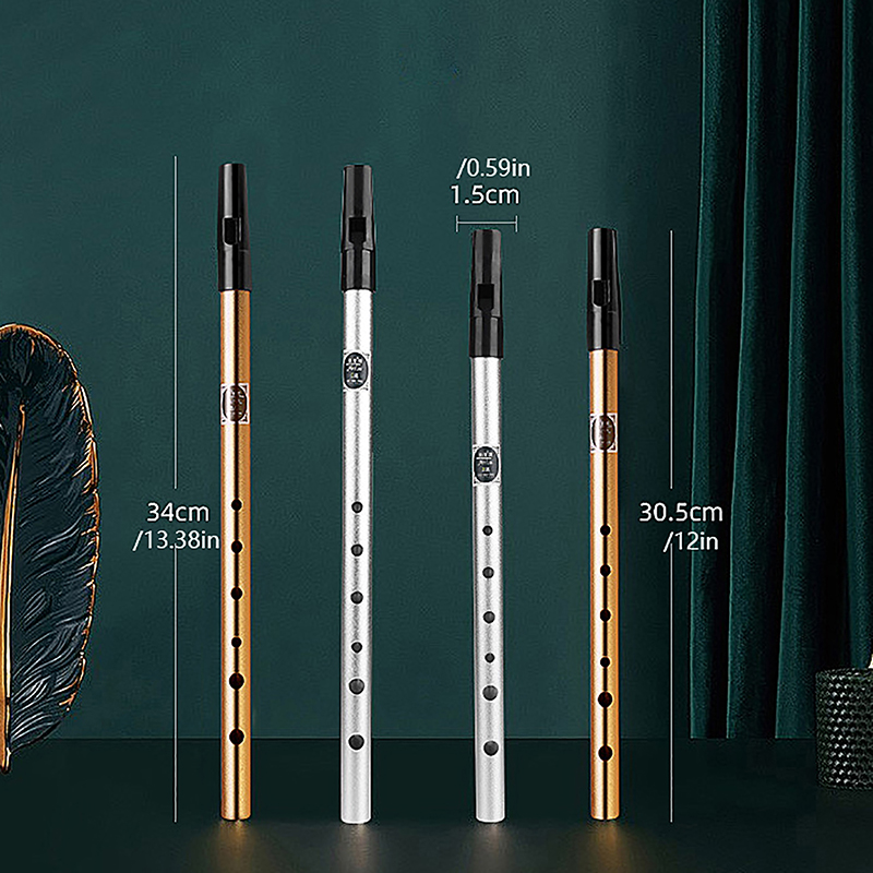 Sifflet irlandais à 6 trous, c - Penny Whistle D avis et prix