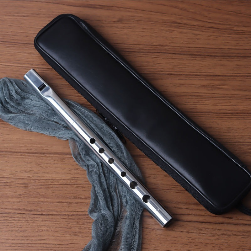 Enregistreur en alliage d'alum - Tin Whistle Flute avis et prix