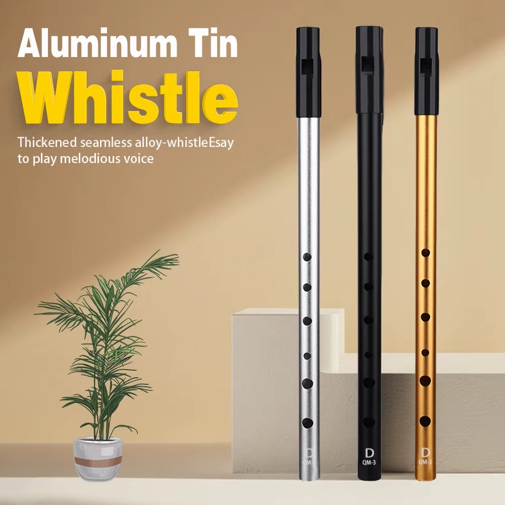 Flûte irlandaise en Do/Ré, son - Tin Whistle Flute avis et prix