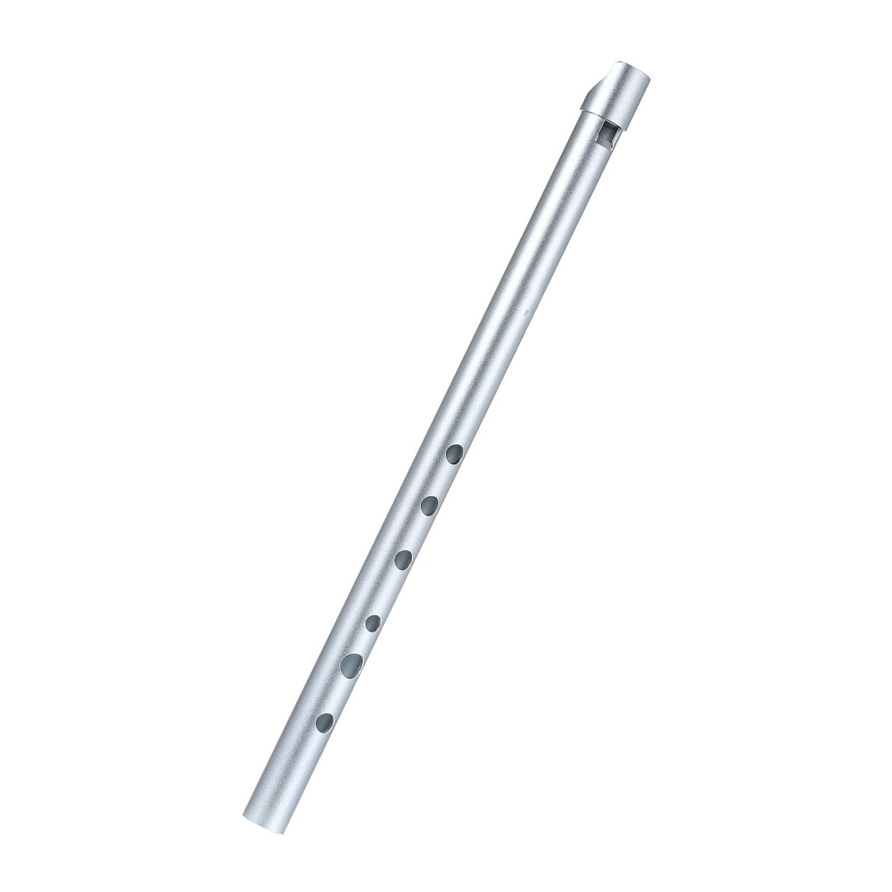 Flûte irlandaise professionnel - Penny Whistle D avis et prix