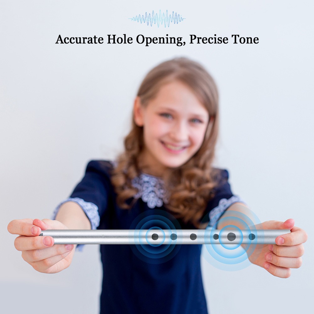 Flûte irlandaise professionnel - Penny Whistle D avis et prix