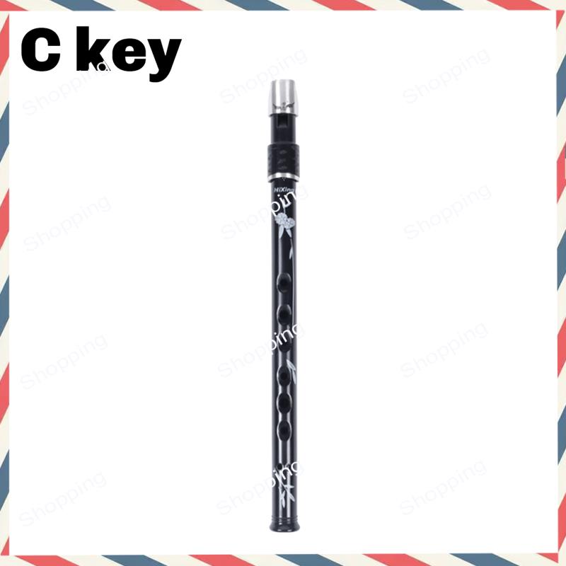 A44M 6 trous irlandais étain P - Tin Whistle Flute avis et prix