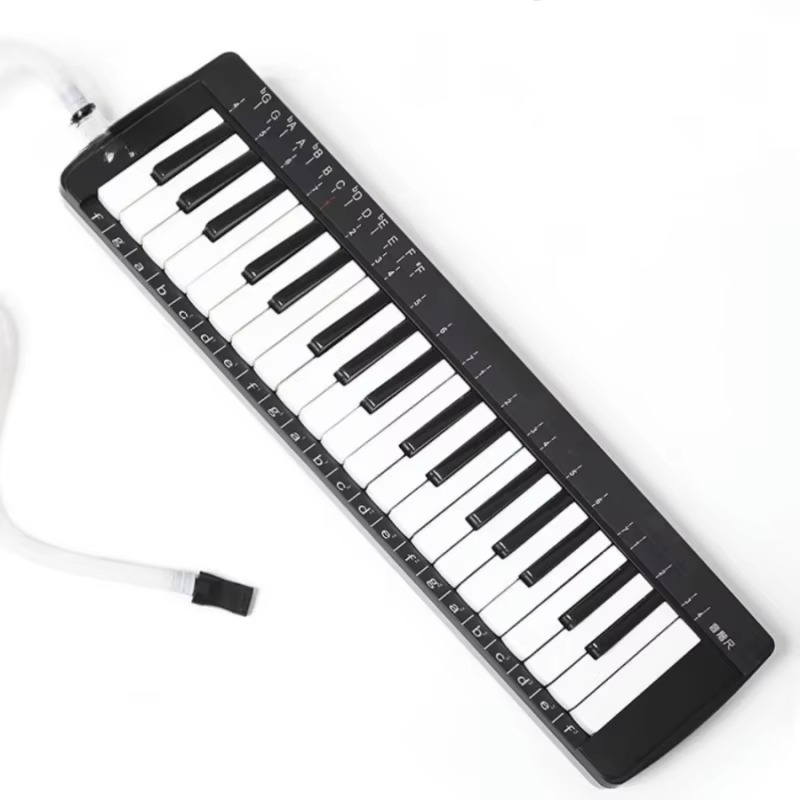 Ensemble de mélodica professio - Musical Instrument Kids avis et prix