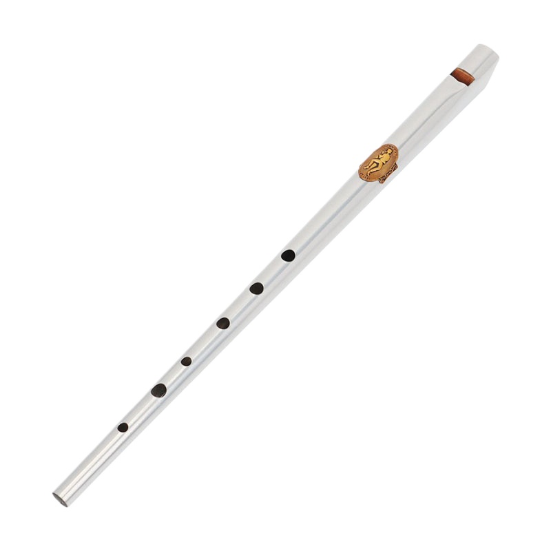 Sifflet en étain à clé D/C, en - Tin Whistle Flute avis et prix