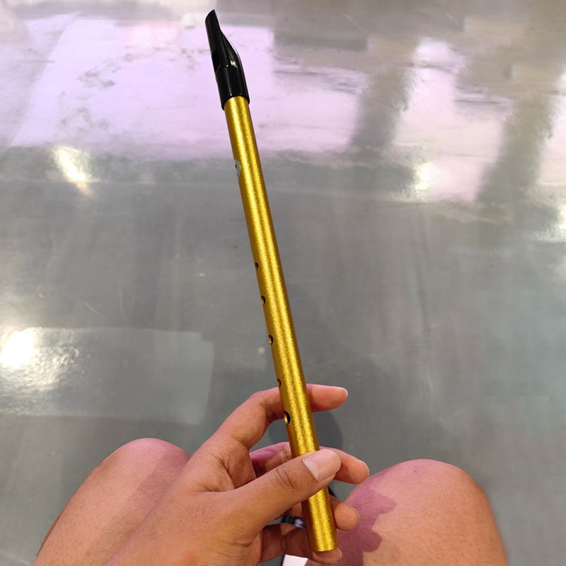 Flûte à bec à 6 trous pour étu - Tin Whistle Flute avis et prix
