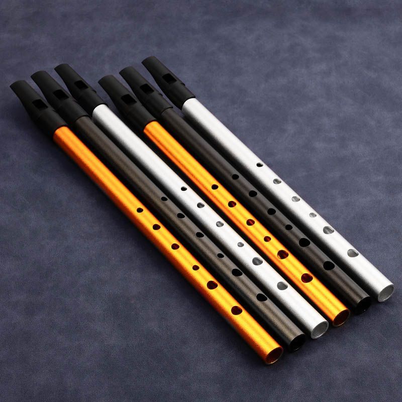 Flûte à bec à 6 trous pour étu - Tin Whistle Flute avis et prix